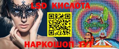 винт Будённовск